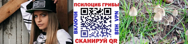 Галлюциногенные грибы Cubensis гидра Ладушкин цены