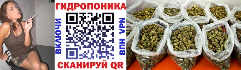 Канабис Bruce Banner  где купить наркоту  Ладушкин 